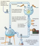 Experimento de Miller.