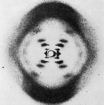 La doble hélice del DNA