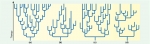 Distintas representaciones del árbol de la vida