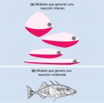 Modelos de un pez macho usados por Tinbergen en sus experimentos con el pez espinoso