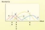 Cambios en la abundancia relativa de las especies en un gradiente altitudinal