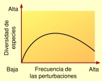 Hipótesis de la perturbación intermedia