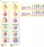 Localización de biomasa y nutrientes en los biomas