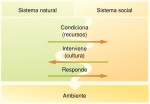 El medio ambiente como resultado de las interacciones entre los sistemas naturales y los sociales